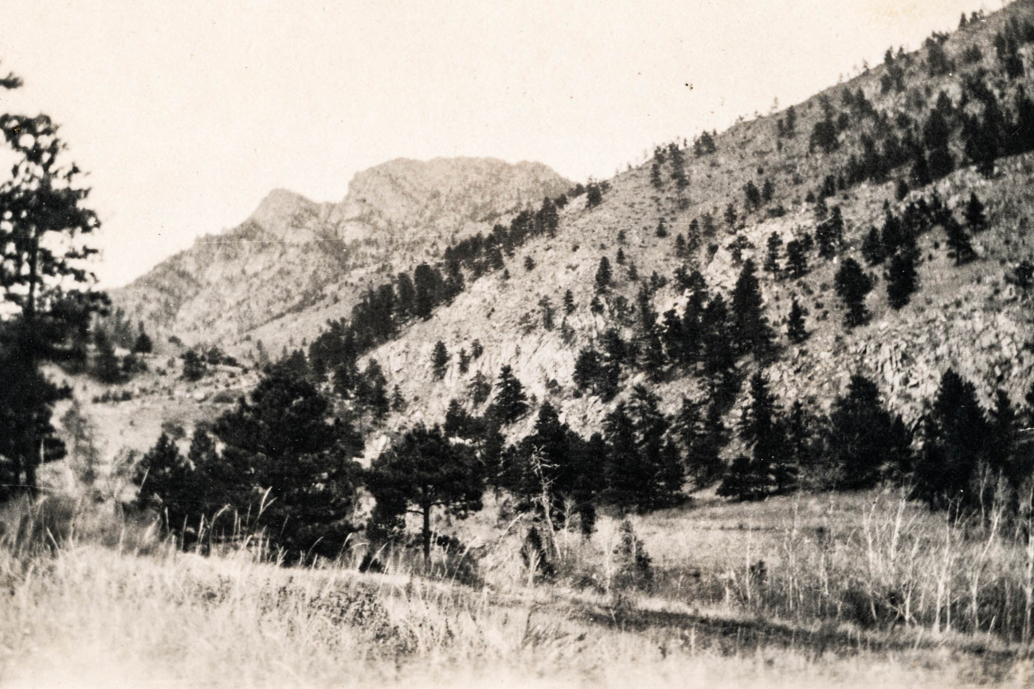 Idlewild Lodge - idlewildlodge.github.io - Circa 1920 - Palisade Mountain