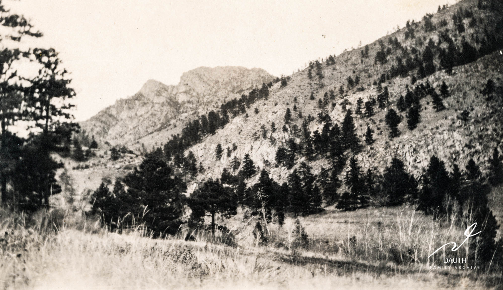 Idlewild Lodge - idlewildlodge.github.io - Circa 1920 - Palisade Mountain