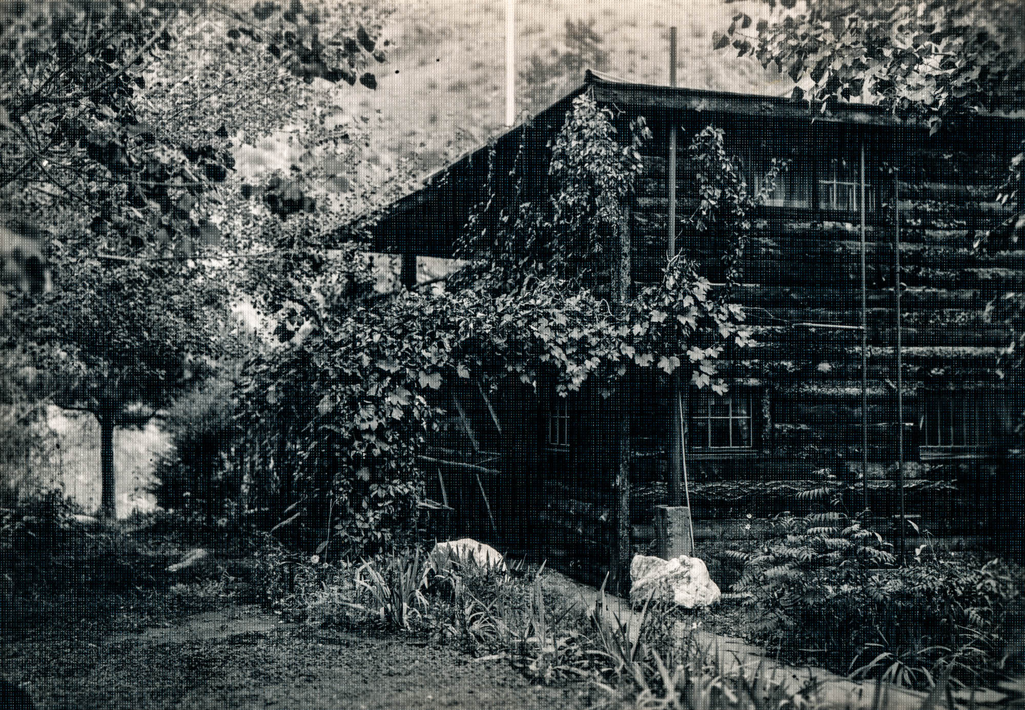 Idlewild Lodge - idlewildlodge.github.io - Circa 1930s - Grape Vines Covering Idlewild Lodge